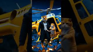 wanted cat #shortsfeed #explorenow #youtubeshorts #cartoon #trendingshorts #catviral #viralshort