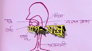 #BAGJONTRO/বাগযন্ত্র/step by step 2021