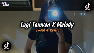 DJ Lagi Tamvan X Melody (Slowed   Reverb)🎧