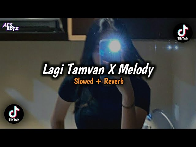 DJ Lagi Tamvan X Melody (Slowed + Reverb)🎧 class=