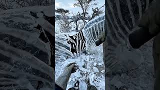 Frozen Zebra Rescue 🦓❄️ | Ice Breaking Hero Moment | #ZebraRescue #AnimalRescue #WinterSurvival