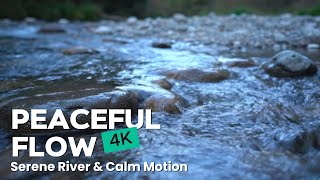 Flow of Serenity 💧 Peaceful River & Water Sounds for Study, Sleep, Relaxation