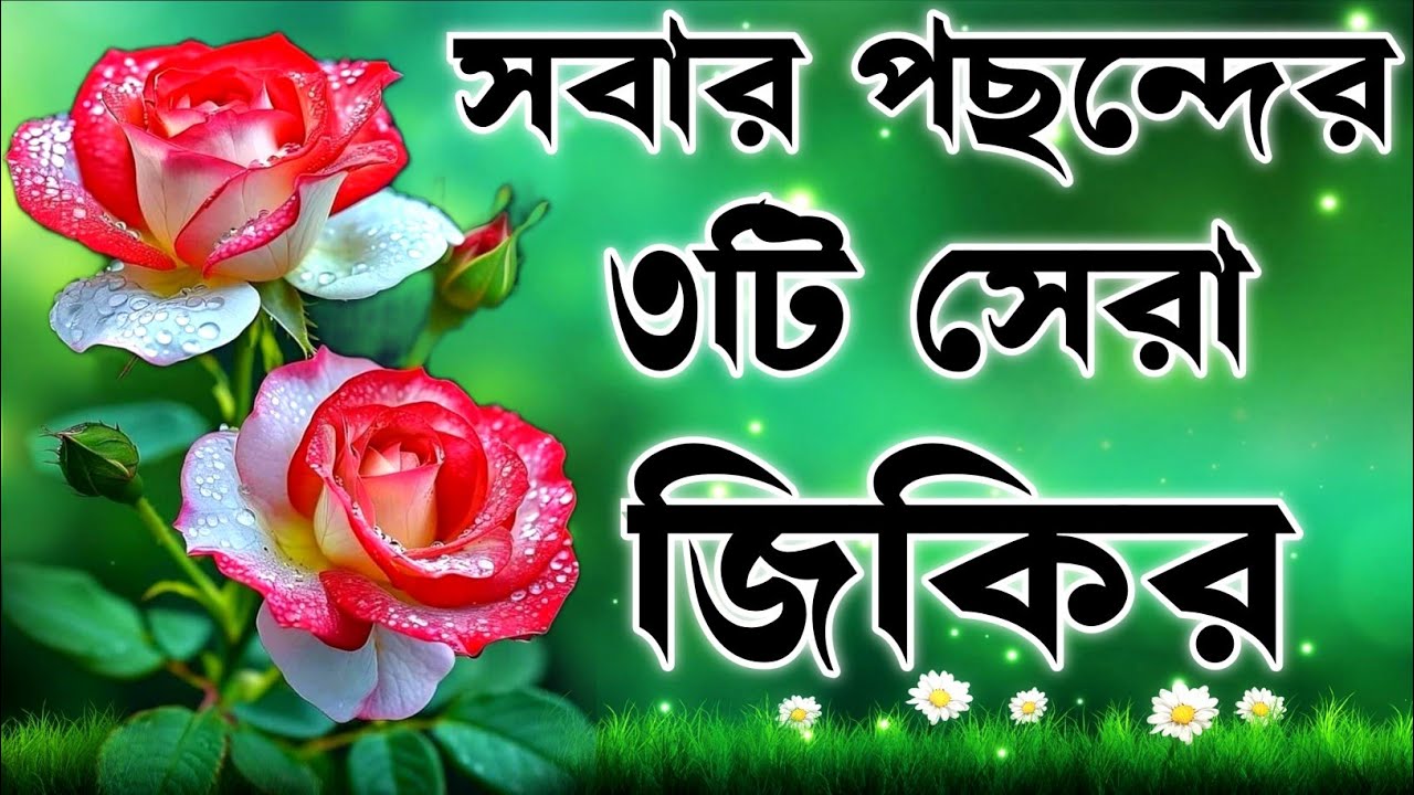 সবার পছন্দের এই জিকির গুলো শুনে যাবেন মনে অনেক শান্তি পাবেন ইনশাআল্লাহ কন্ঠ মোঃ হাফিজুর রহমান (২০২৫)