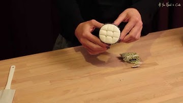 How to decorate cupcakes with quilted effect fondant