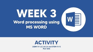 Word Processing using MS Word (Basic Formatting) Activity Video