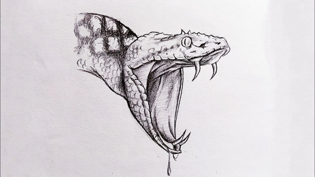 Рисунок змеи