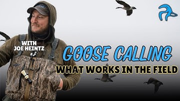 Joe Heintz; Goose Calling: What Works
