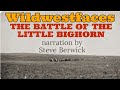 The battle of the little bighorn  wildwestfaces