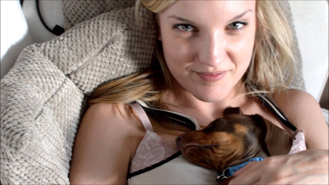 Sleeping Sausage the Sausage Dog YouTube