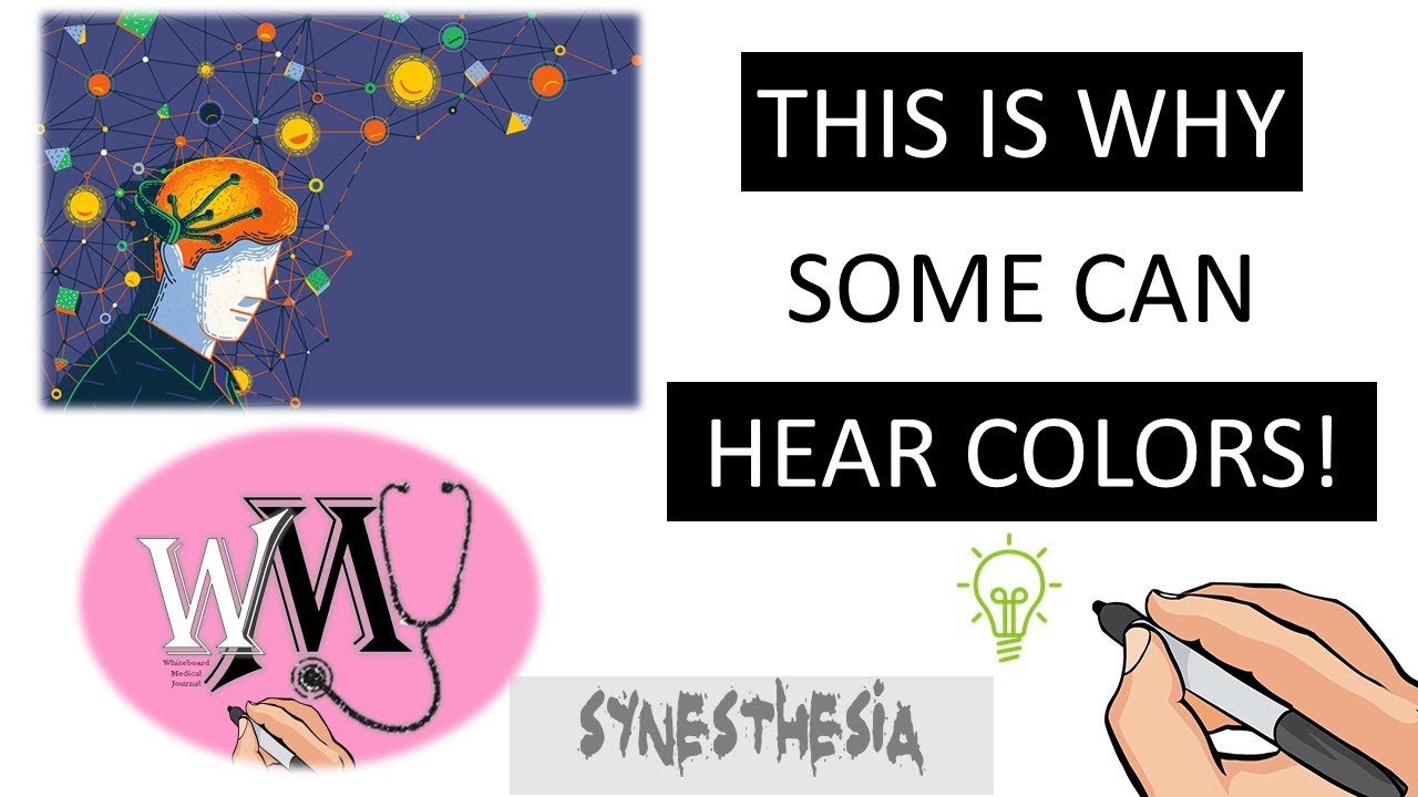 Synesthesia Simply Explained This Is Why Some Can HEAR COLORS What Synesthesia Simply Explained This Is Why Some Can HEAR COLORS What