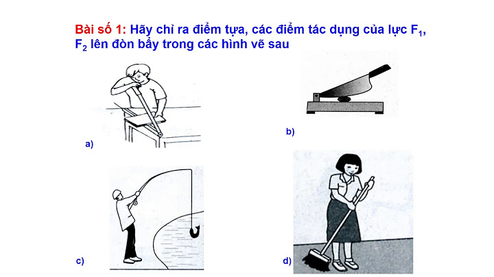 Bài tập về máy cơ đơn giản vật lý 6 năm 2024