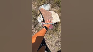 Did you know that you NEED to have permission from the property owner BEFORE hiding a geocache?! 👀