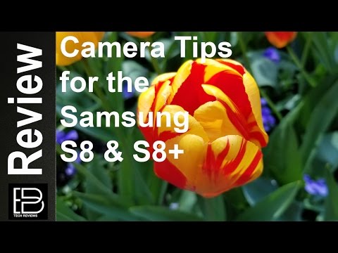 8 Easy tips that will improve your pictures on the Samsung S8 & S8+