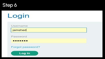 Lab: Indirect prompt injection | Portswigger Labs