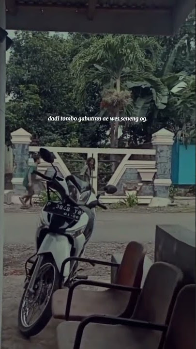 story WhatsApp. || Full senyum 🤣🤣