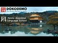 Dokodemo  kjls kyoto japanese language school