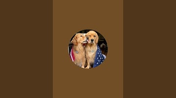 Minecraft RTX Infinite Loop  #Shorts #Minecraft