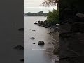 #peace #zen #meditation #water #riversounds #peace #faithjourney #scenicjourney #calming