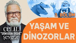 Yaşamın oluşması ve dinozorlar! - Prof. Dr. Celal Şengör ile Dinozor Dede