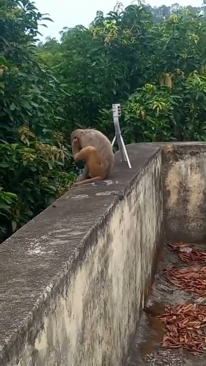 #shortsfeed #shortsfeed_ #shortsfeedtrend