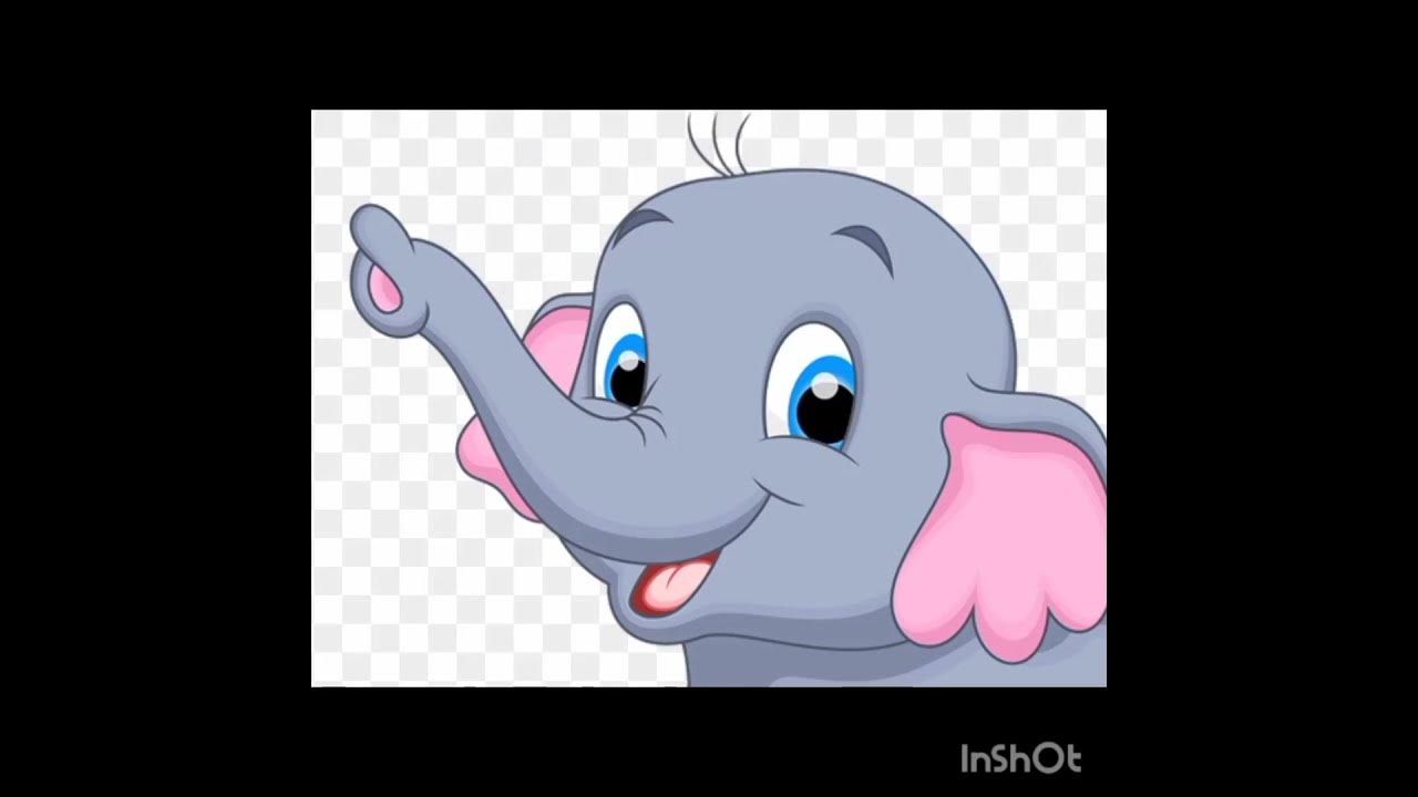Elephant Sounds effect 🐘🔊 - YouTube
