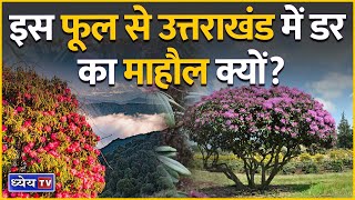 News This Hour : इस फूल से Uttarakhand में डर का माहौल क्यों? || Rhododendron Flower || Dhyeya IAS