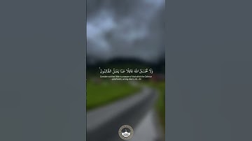 تلاوه رائعه الشيخ خالد الجليل #quran #قرآن #خالد_الجليل