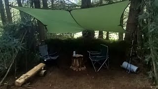 wild camp in the woods setting up base camp.