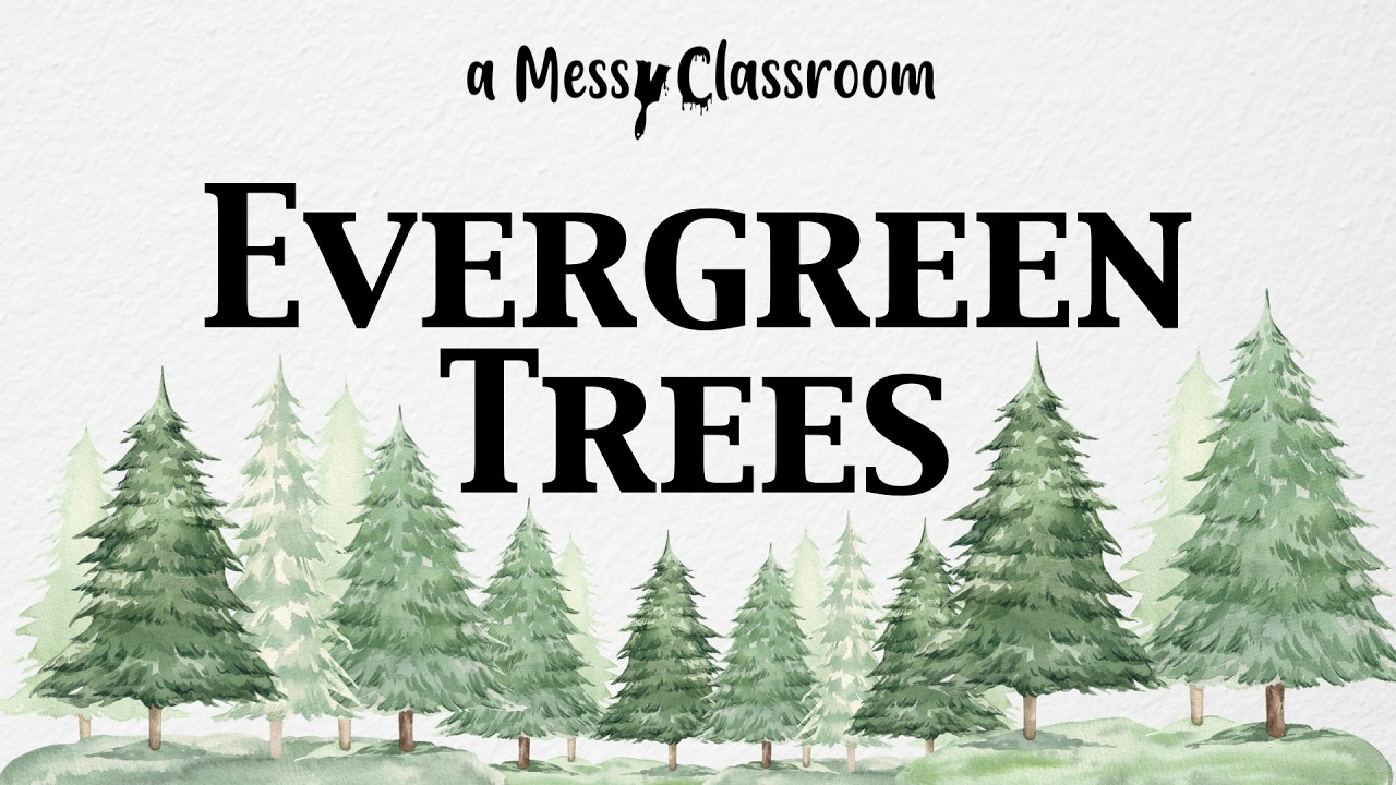 Всё о вечнозелёных деревьях. Удивительный мир вечнозелёных деревьев. Факты о хвойных, которые вас...