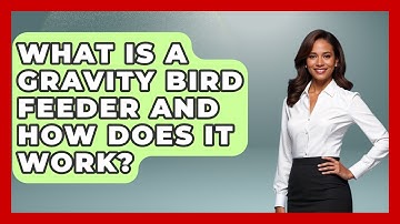 What Is A Gravity Bird Feeder And How Does It Work? - Bird Watching Diaries