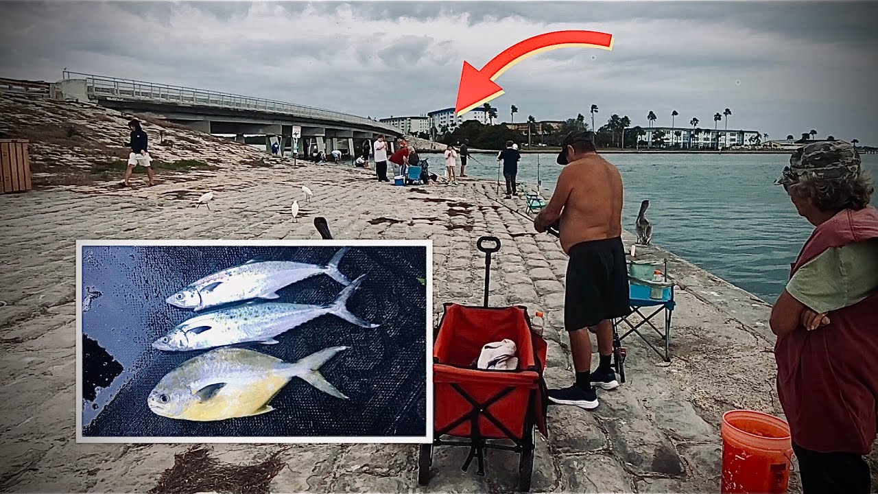 Challenging Days FISHING HIGHLIGHTS at Dunedin Causeway, Florida 🎣🐬
