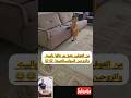 من اتعوفين بنتج يم خالها اتكون هاذي النتيجه نظرات البنت جميلة جدا