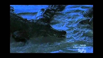 Mega Python vs Gatoroid Trailer