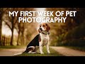 My First Week Of Pet Photography - How I Got Started