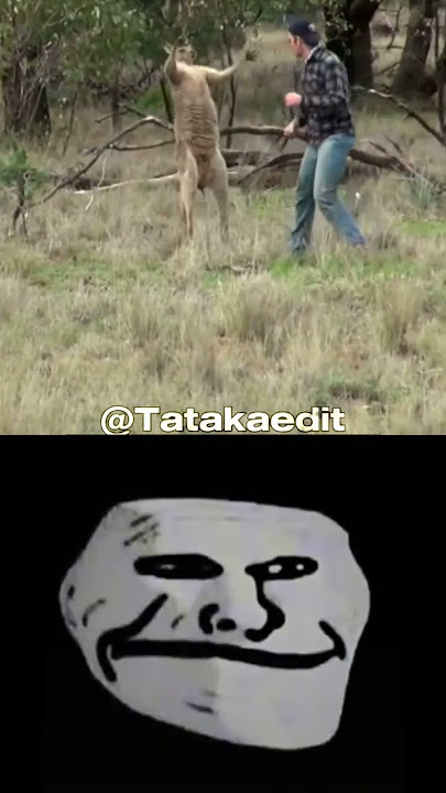 Man 🧍‍♂️ Vs Kangaroo 🦘 || #shorts #viral #foryoupage