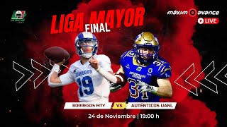 MÁXIMO AVANCE EN VIVO: BORREGOS MONTERREY vs AUTÉNTICOS TIGRES | Liga Mayor  FINAL ONEFA