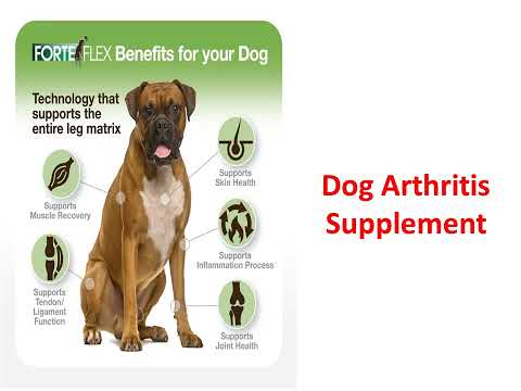 Forte Flex K9 : Dog Arthritis Supplement