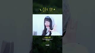 밴드St 낭낭한 소문의 낙원