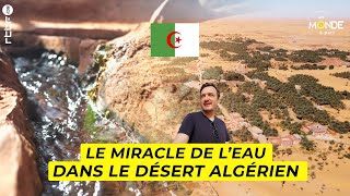 Algérie : le miracle de l'eau dans le désert algérien avec la foggora - Un Monde à part
