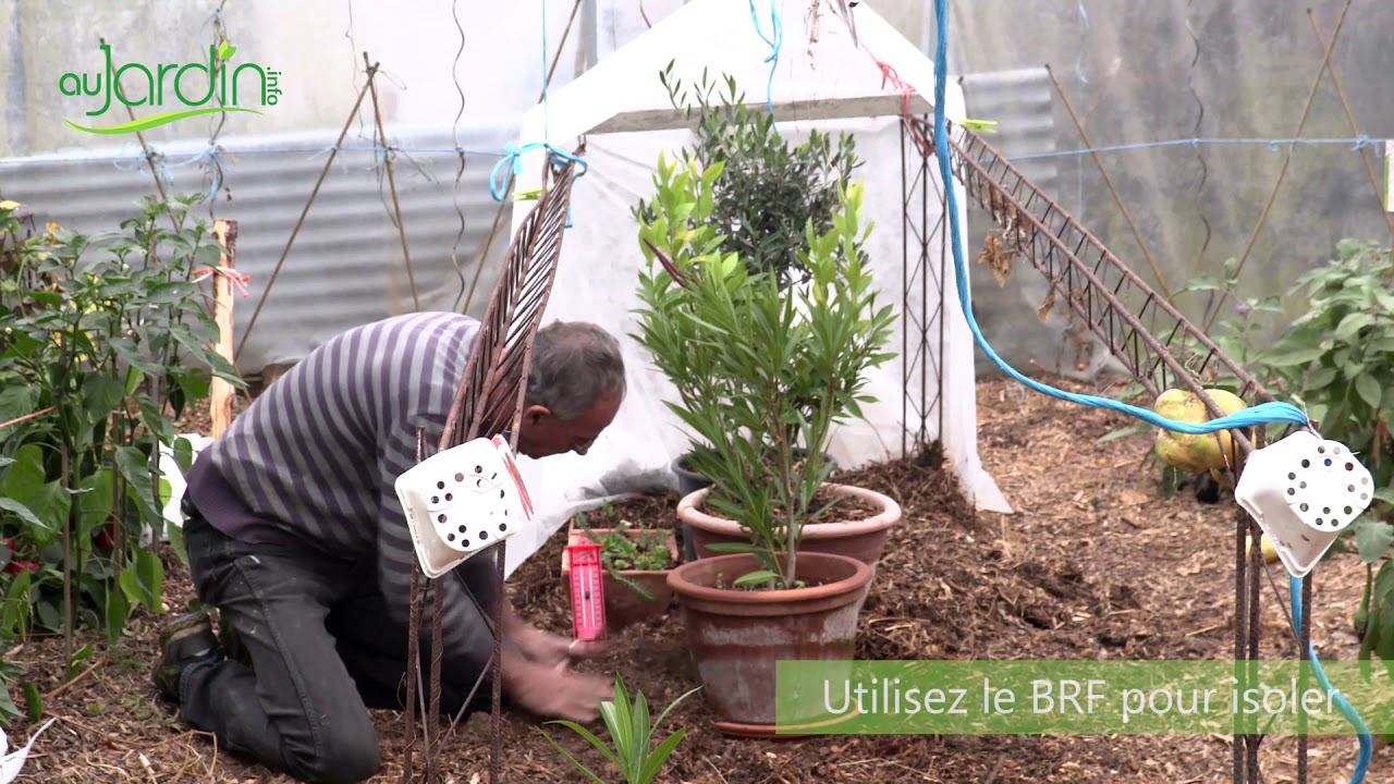 Serre de protection hivernale pour plantes gélives