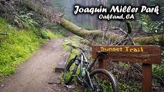 All of the Best DH (mtb) Trails at Joaquin Miller Park!