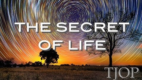 The Secret of Life - Alan Watts