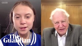 'It's nice to meet you': Greta Thunberg and David Attenborough speak over Skype