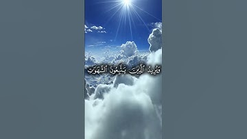 والله يريد أن يتوب عليكم|تلاوة من سورة النساء بصوت القارئ محمد اللحيدان|#قرآن #deen #اكسبلور #quran