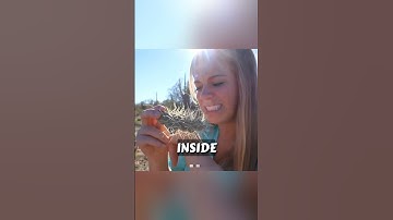 Very Easiest Way To Remove Cactus Spines #shortsvideo #usa #usashorts #usa #cactus #usatoday