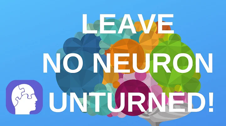 Traumatic Brain Injury Recovery: Neuropsychologic....