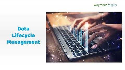 Data Analyst Webinar 1.0: The discipline of "data lifecycle management"