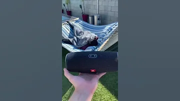ابي يوقو 