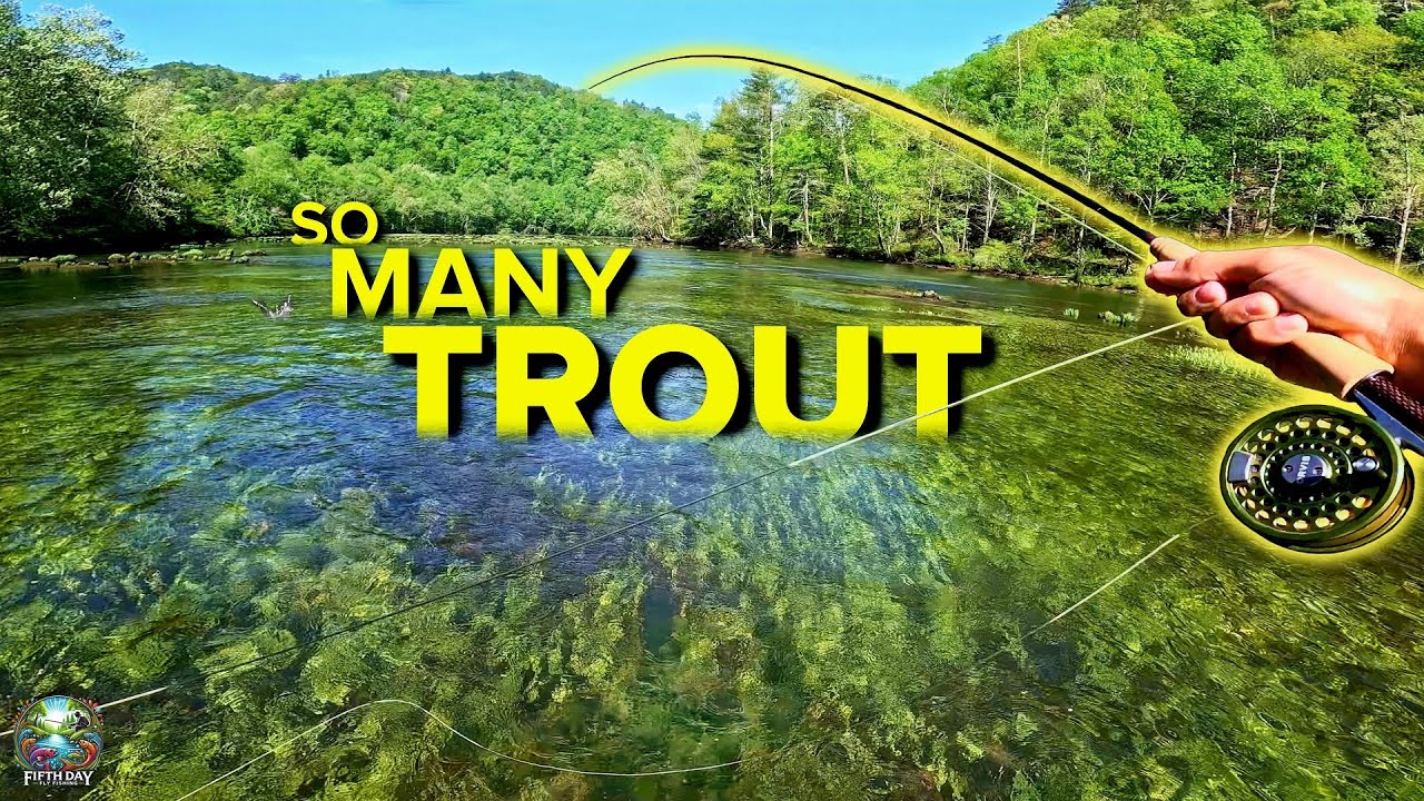 Friendly Rigs This Beginner Friendly Rig Catches TONS OF TROUT! (Fly Fishing the ...