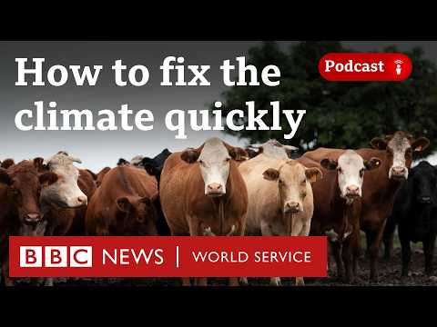 Are there any quick solutions for climate change? - The Climate Question podcast, BBC World Service